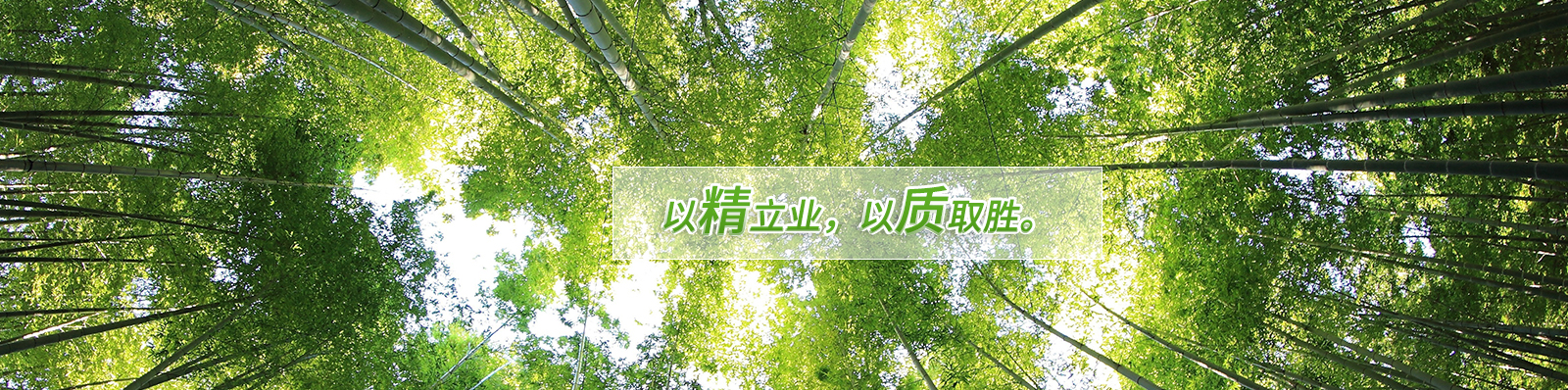 banner4